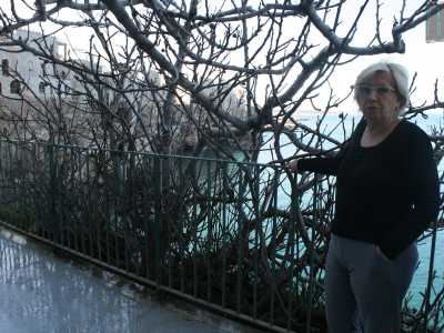 La proprietaria ci indica un albero di fico ancora spoglio ...